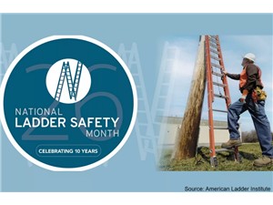 March is National Ladder Safety Month!